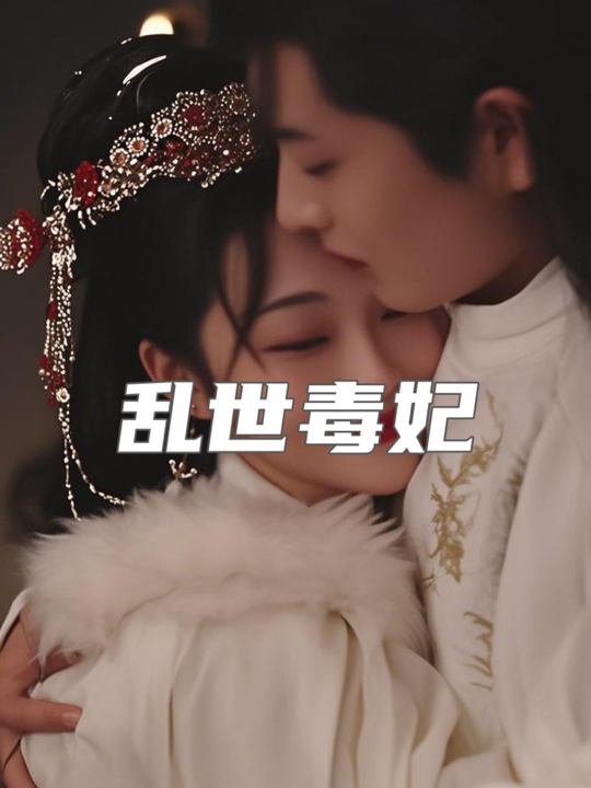 乱世毒妃封面