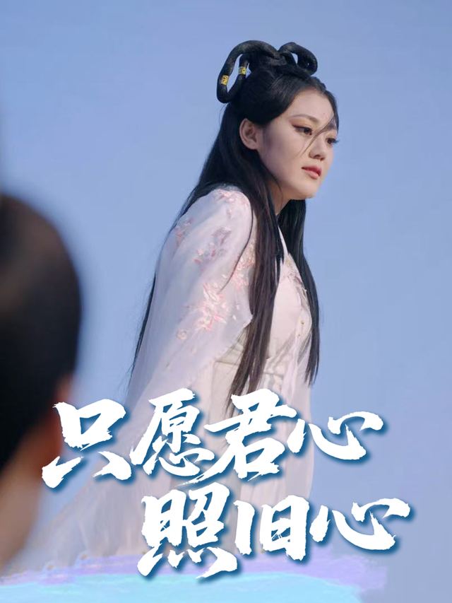 只愿君心照旧心封面