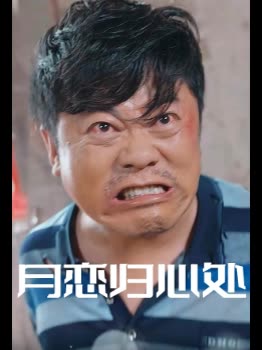 月恋归心处封面