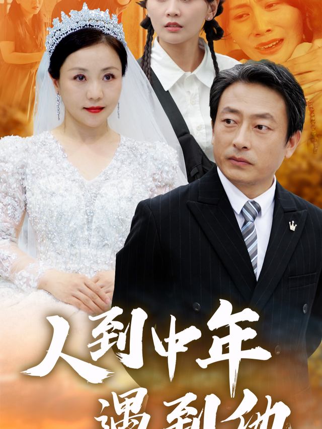人到中年遇到他封面