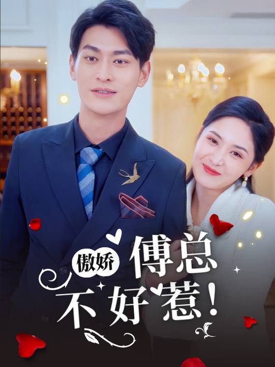 傲娇傅总不好惹封面
