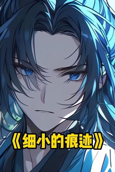 细小的痕迹封面