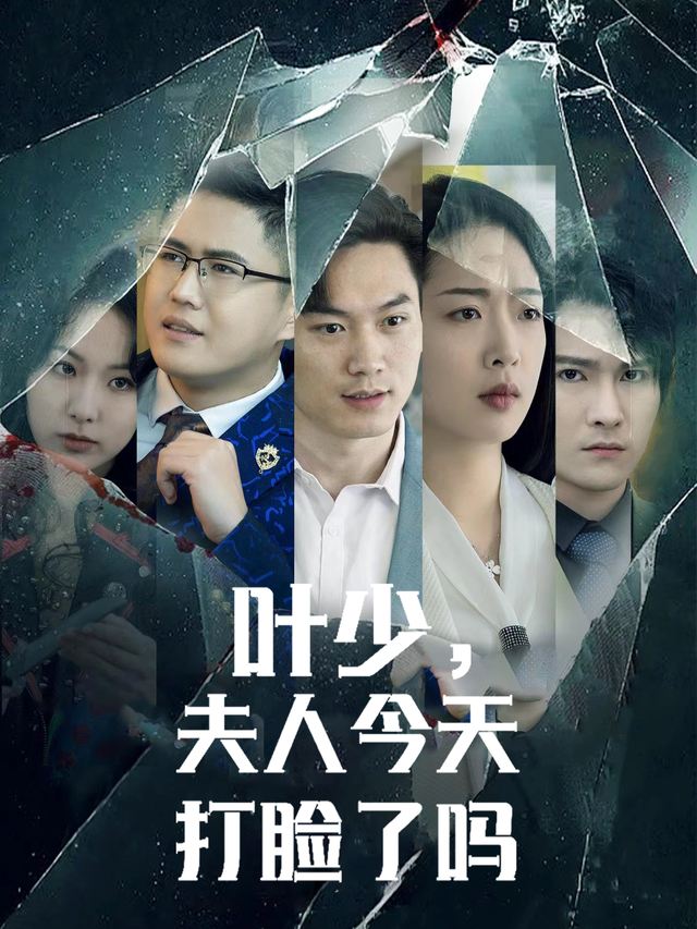 叶少,夫人今天打脸了吗封面