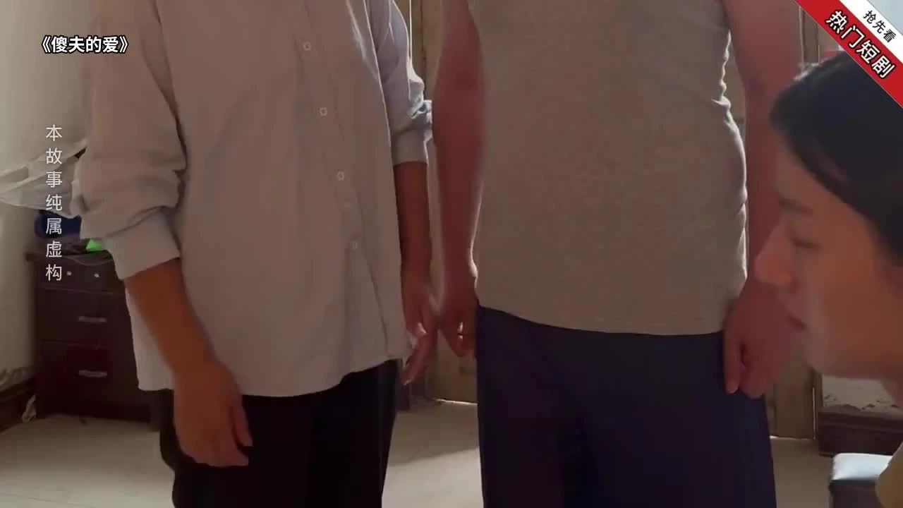 傻夫的爱封面