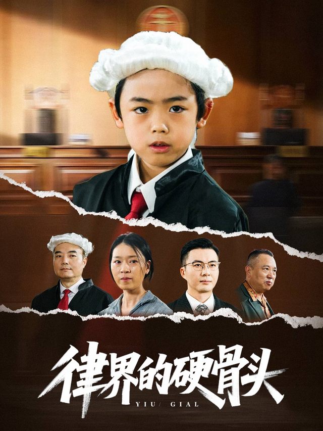 律界的硬骨头封面