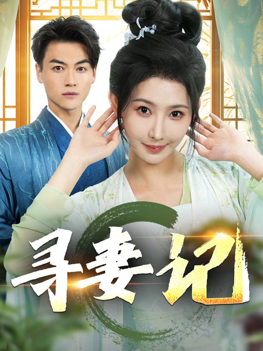 寻妻记封面