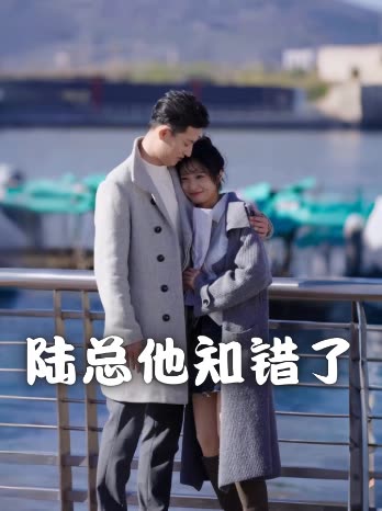 陆总他知错了封面