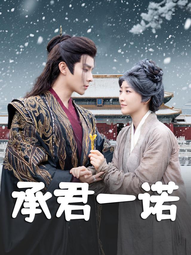 承君一诺封面