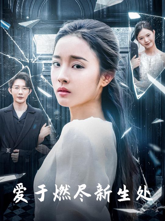 爱于燃尽新生处封面