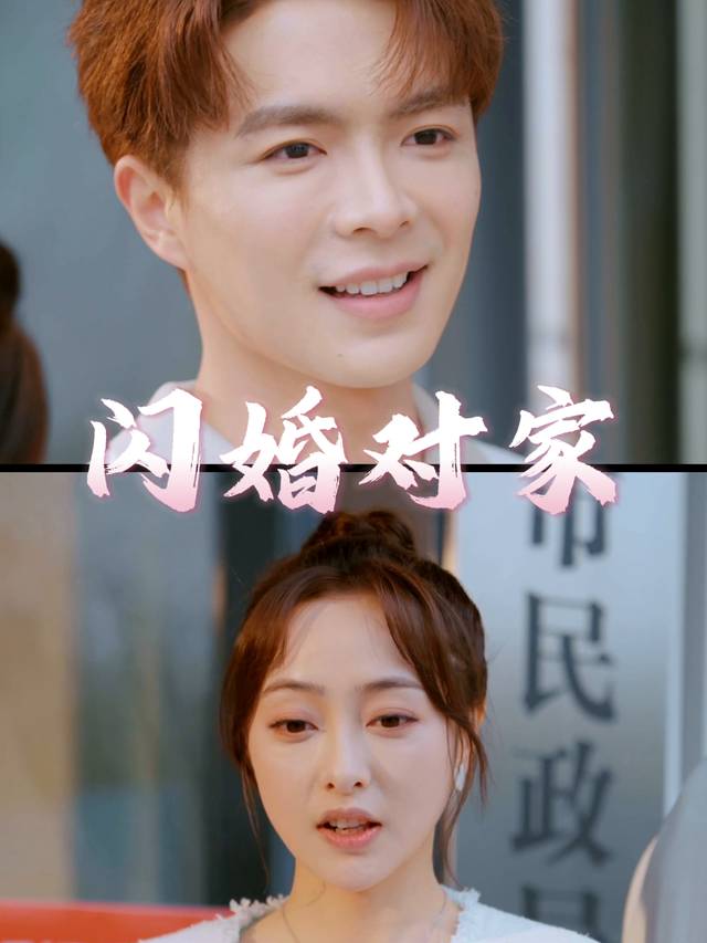 闪婚对家封面