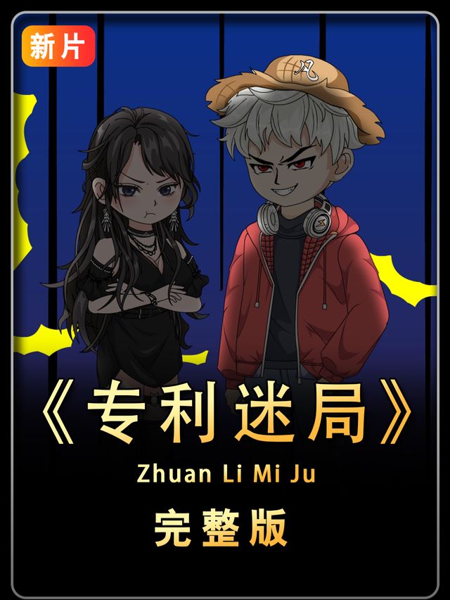 专利迷局封面