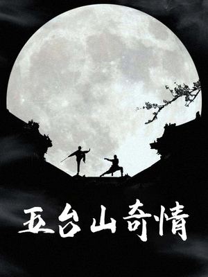 五台山奇情封面