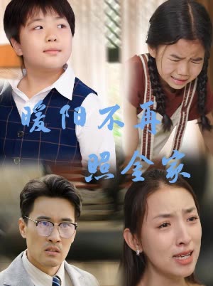 暖阳不再照金家封面
