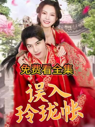 误入玲珑帐封面