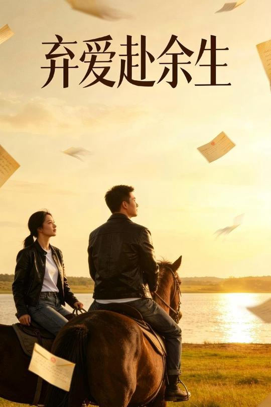 弃爱赴余生封面