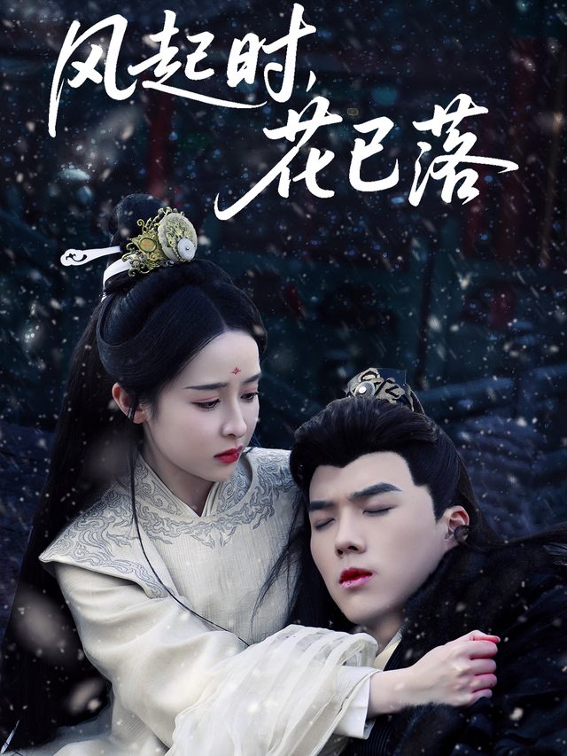 风起时,花已落封面