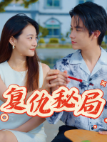 复仇秘局封面