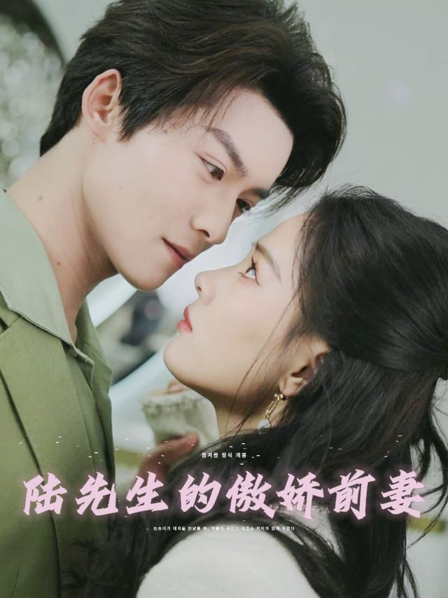 陆先生的傲娇前妻封面