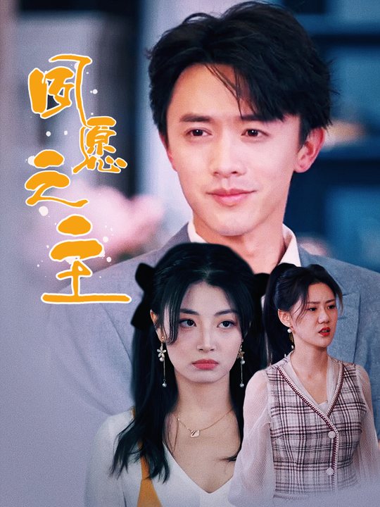 夙愿之主封面
