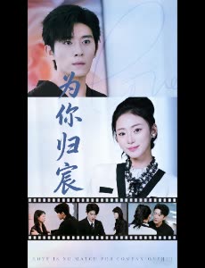 为你归宸封面