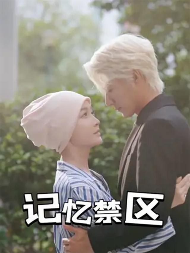 记忆禁区封面