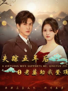 失踪五年后老婆助我登顶封面