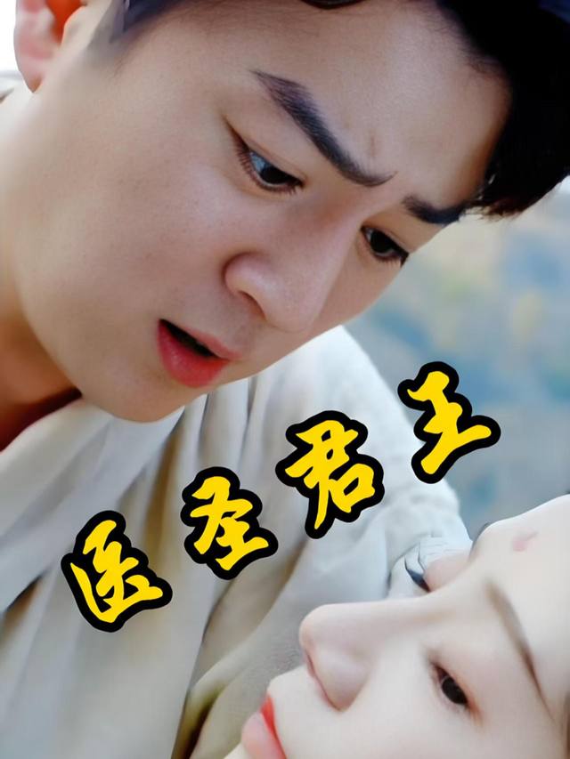 医圣君王封面