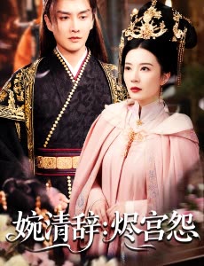 婉清辞:烬宫怨封面