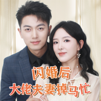 闪婚后大佬夫妻掉马忙封面