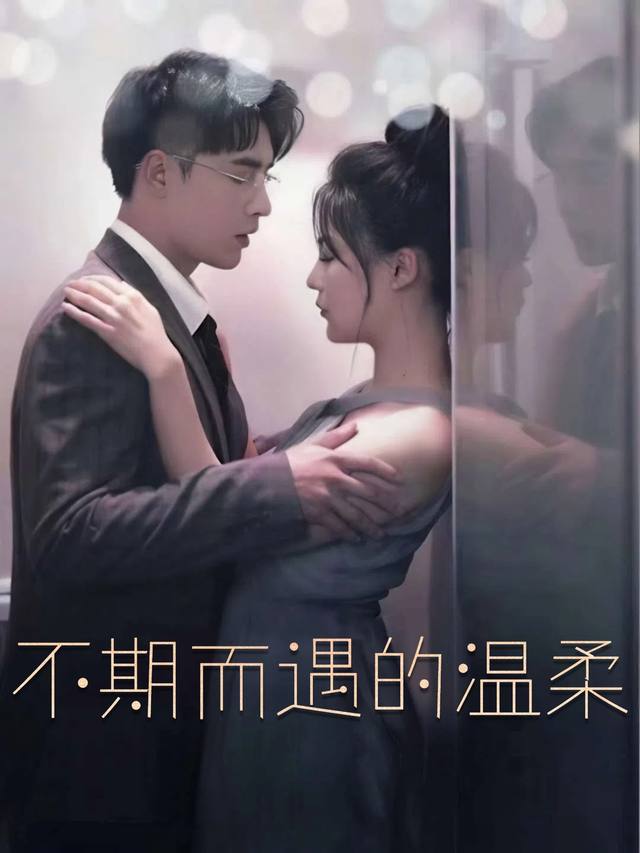 不期而遇的温柔封面