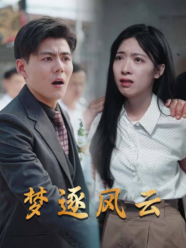 梦逐风云封面