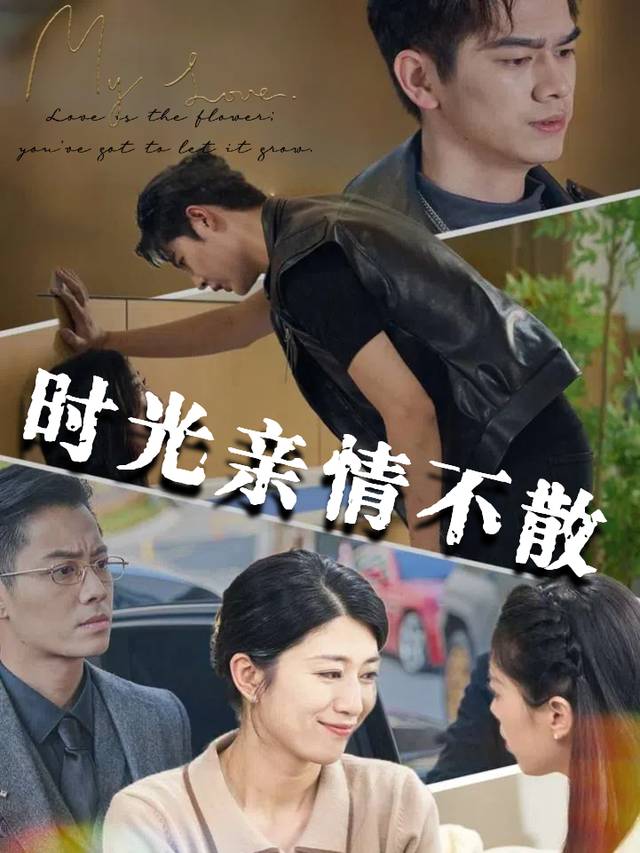 时光亲情不散封面