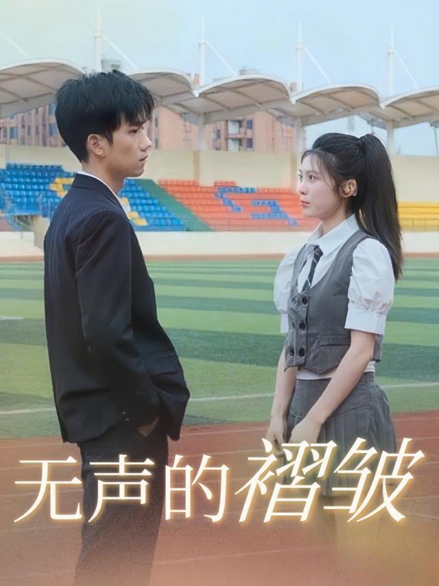 无声的褶皱封面