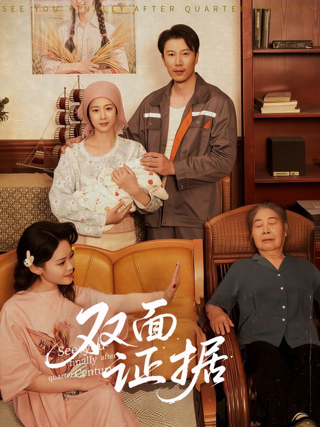 双面证据封面