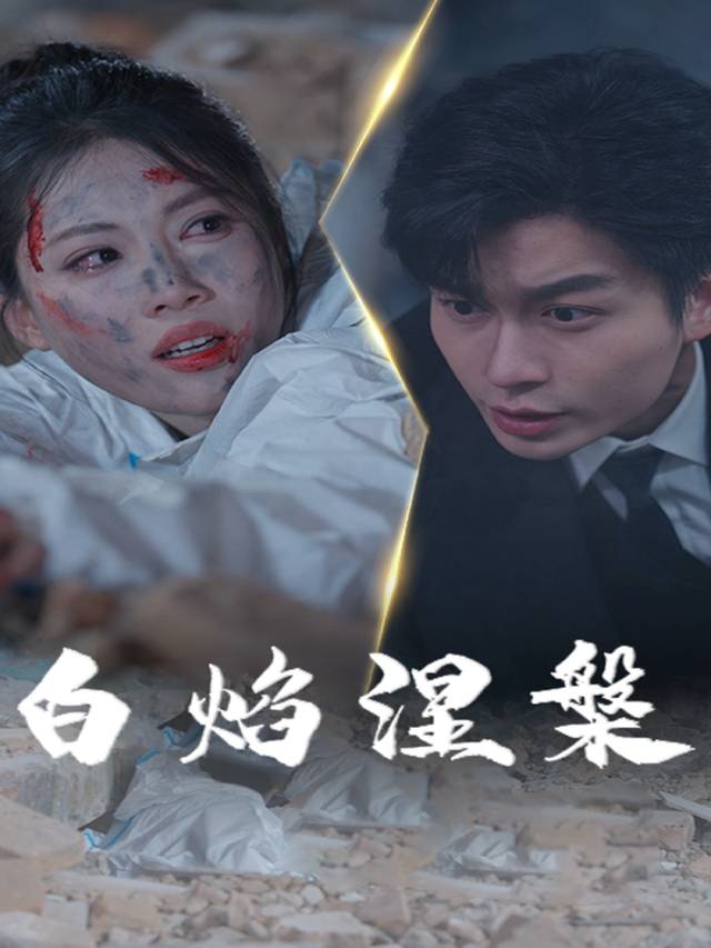 白焰涅槃封面