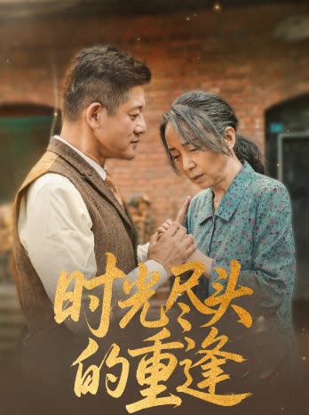时光尽头的重逢封面