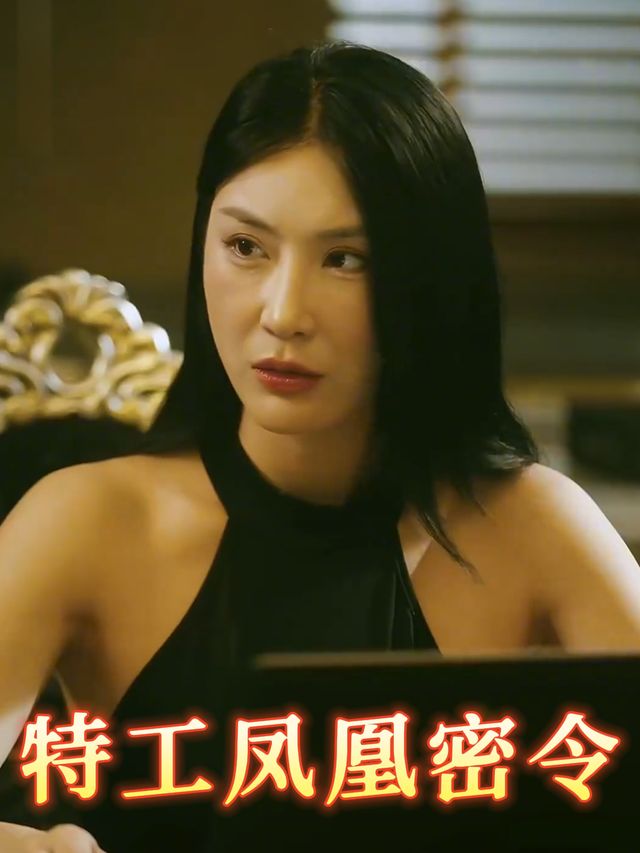 特工凤凰密令封面