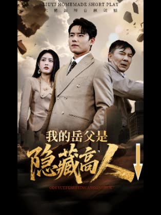 我的岳父是隐藏高人↓封面