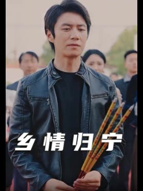 乡情归宁封面