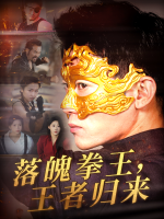 落魄拳王，王者归来封面