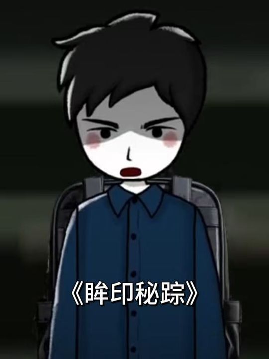 眸印秘踪封面