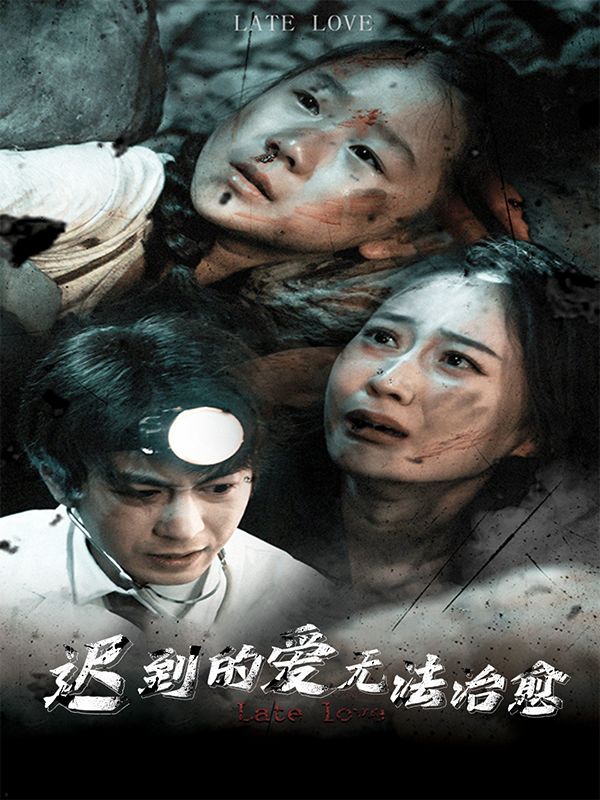 迟到的爱无法治愈封面