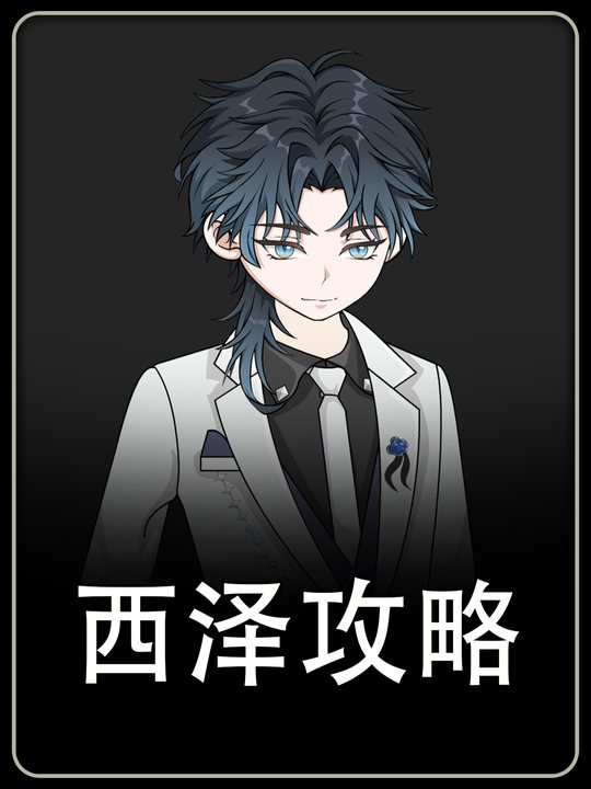 西泽攻略封面