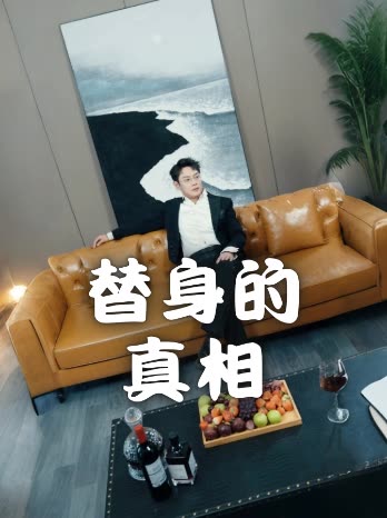 替身的真相封面