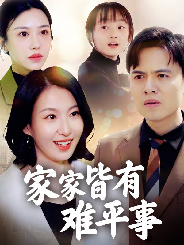 家家皆有难平事封面
