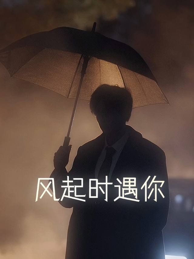 风起时遇你封面