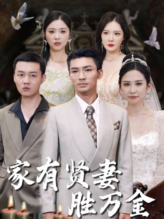 家有贤妻胜万金封面