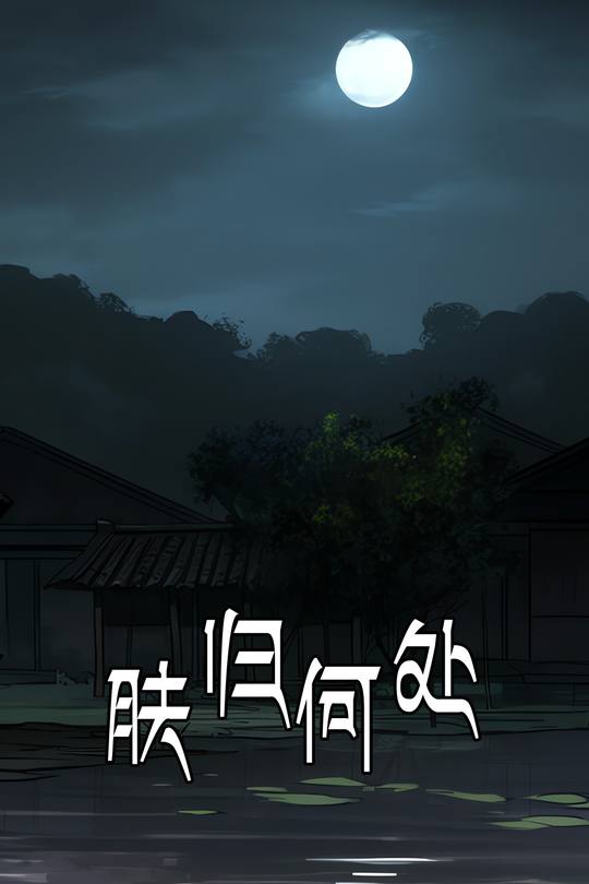 肤归何处封面