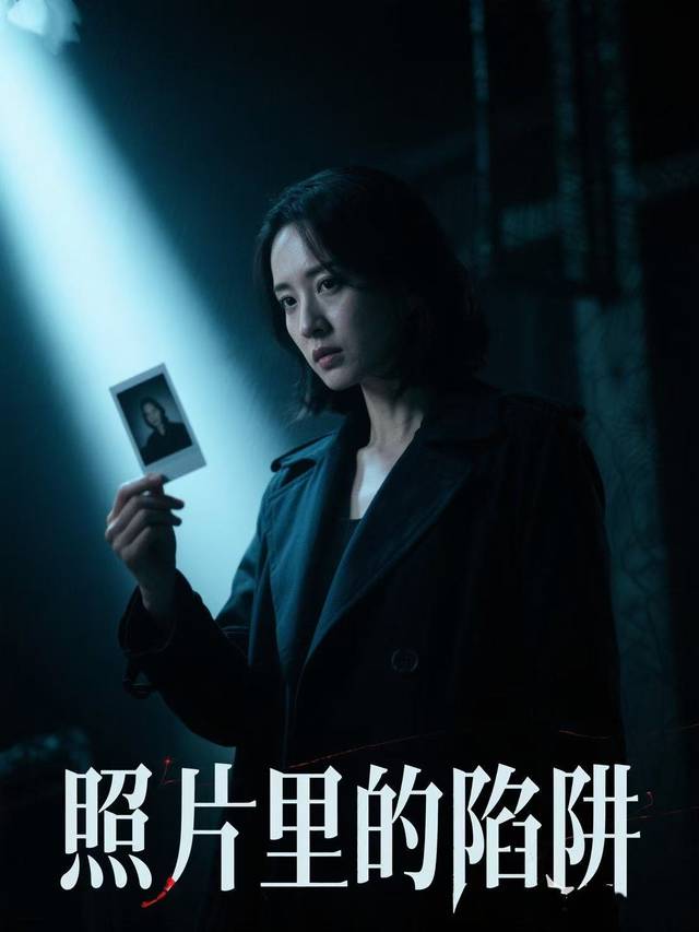 照片里的陷阱封面