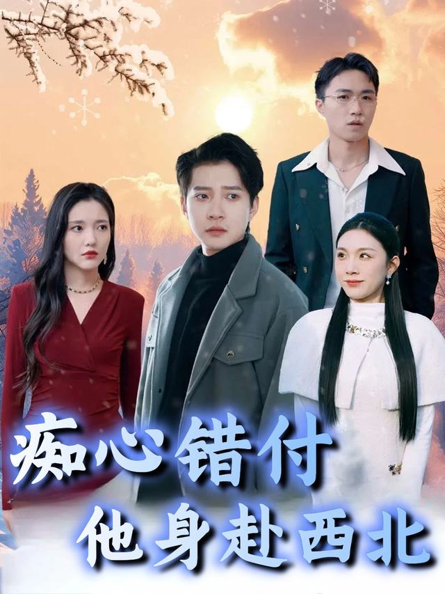 痴心错付他身赴西北封面